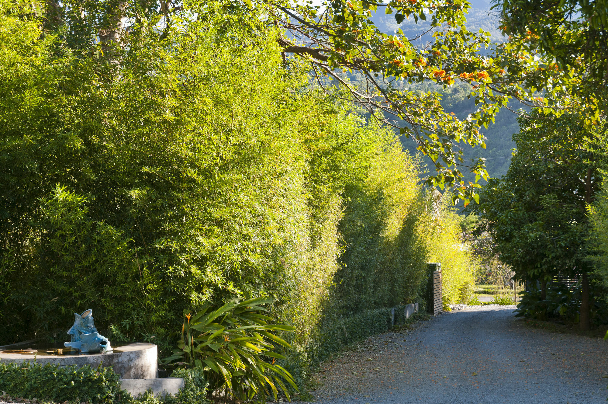 The Haven - Hotel & Spa, - Adults Only ボケテ エクステリア 写真